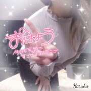 ヒメ日記 2025/09/26 05:31 投稿 花野はるか ABC 岩手ソープ