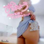 ヒメ日記 2025/10/17 07:01 投稿 花野はるか ABC 岩手ソープ