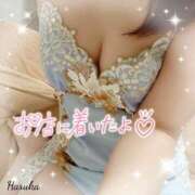 ヒメ日記 2025/10/17 08:46 投稿 花野はるか ABC 岩手ソープ