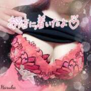 ヒメ日記 2025/10/18 08:46 投稿 花野はるか ABC 岩手ソープ