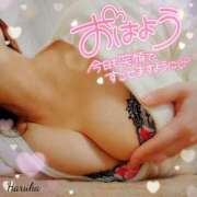 ヒメ日記 2025/10/23 06:01 投稿 花野はるか ABC 岩手ソープ