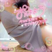 ヒメ日記 2025/10/24 06:01 投稿 花野はるか ABC 岩手ソープ