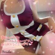 ヒメ日記 2025/11/05 22:46 投稿 花野はるか ABC 岩手ソープ