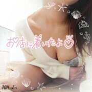 ヒメ日記 2025/11/07 08:46 投稿 花野はるか ABC 岩手ソープ