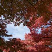 ヒメ日記 2025/11/10 08:46 投稿 花野はるか ABC 岩手ソープ