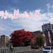 ヒメ日記 2025/11/14 08:46 投稿 花野はるか ABC 岩手ソープ