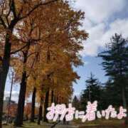 ヒメ日記 2025/11/17 08:46 投稿 花野はるか ABC 岩手ソープ