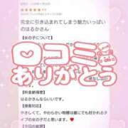 ヒメ日記 2025/11/26 13:01 投稿 花野はるか ABC 岩手ソープ