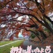 ヒメ日記 2025/11/27 08:46 投稿 花野はるか ABC 岩手ソープ