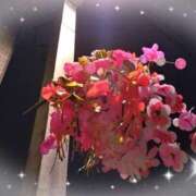 ヒメ日記 2026/01/07 21:16 投稿 花野はるか ABC 岩手ソープ