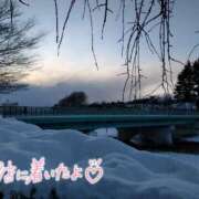 ヒメ日記 2026/01/15 08:46 投稿 花野はるか ABC 岩手ソープ