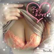 ヒメ日記 2026/02/06 17:31 投稿 花野はるか ABC 岩手ソープ