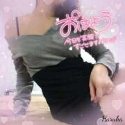 ヒメ日記 2026/03/04 06:46 投稿 花野はるか ABC 岩手ソープ