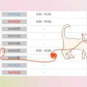 ヒメ日記 2026/03/27 11:31 投稿 花野はるか ABC 岩手ソープ