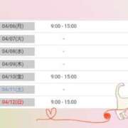 ヒメ日記 2026/04/02 15:16 投稿 花野はるか ABC 岩手ソープ