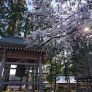 ヒメ日記 2026/04/12 06:01 投稿 花野はるか ABC 岩手ソープ