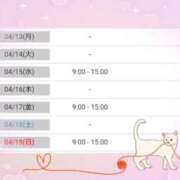 ヒメ日記 2026/04/12 15:31 投稿 花野はるか ABC 岩手ソープ