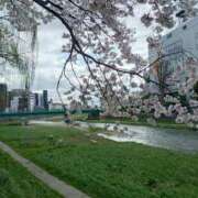 ヒメ日記 2026/04/17 06:01 投稿 花野はるか ABC 岩手ソープ