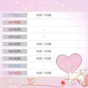 ヒメ日記 2026/04/17 16:01 投稿 花野はるか ABC 岩手ソープ