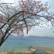 ヒメ日記 2026/04/22 06:31 投稿 花野はるか ABC 岩手ソープ