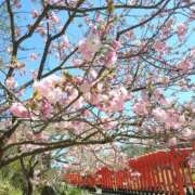 ヒメ日記 2026/05/09 07:01 投稿 花野はるか ABC 岩手ソープ