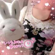 ヒメ日記 2026/07/14 00:01 投稿 花野はるか ABC 岩手ソープ