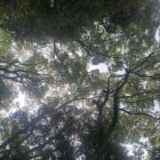 ヒメ日記 2025/09/24 15:02 投稿 湯澤みはる ホットポイントヴィラ