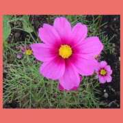 ヒメ日記 2025/10/14 21:01 投稿 湯澤みはる ホットポイントヴィラ