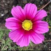 ヒメ日記 2025/11/10 15:01 投稿 湯澤みはる ホットポイントヴィラ