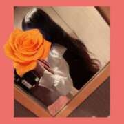 ヒメ日記 2026/04/18 06:48 投稿 湯澤みはる ホットポイントヴィラ