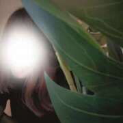 ヒメ日記 2025/10/22 06:03 投稿 白鳥 まゆ エレガンス(福島)