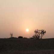 ヒメ日記 2026/01/08 16:45 投稿 木田みゆう 全裸にされた女たちor欲しがり痴漢電車