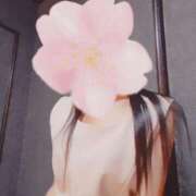 ヒメ日記 2025/01/22 10:04 投稿 しほ スチュワーデス