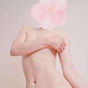 ヒメ日記 2025/08/20 08:15 投稿 しほ スチュワーデス