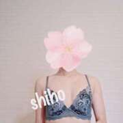 ヒメ日記 2025/09/10 13:01 投稿 しほ スチュワーデス