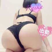 ヒメ日記 2024/12/28 09:02 投稿 らいか 石亭