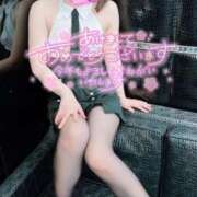 ヒメ日記 2025/01/03 14:42 投稿 らいか 石亭