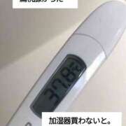 ヒメ日記 2024/12/19 03:31 投稿 あい モアグループ小山人妻花壇