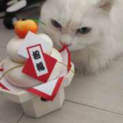 ヒメ日記 2025/01/01 13:03 投稿 あい モアグループ小山人妻花壇