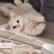 ヒメ日記 2025/11/25 15:39 投稿 あい モアグループ小山人妻花壇