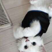 ヒメ日記 2026/04/27 17:29 投稿 あい モアグループ小山人妻花壇