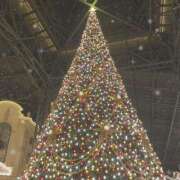 ひな 🎄 G-SCANDAL