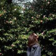 ヒメ日記 2025/05/21 09:27 投稿 北川ゆり子 五十路マダム 博多店