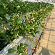 ヒメ日記 2025/03/01 10:43 投稿 まりな 完全密室 無抵抗