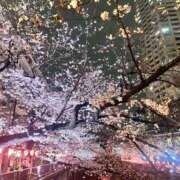 ヒメ日記 2025/03/30 11:07 投稿 まりな 完全密室 無抵抗