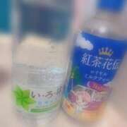 新田いのり わんわん🐶 奴隷志願！変態調教飼育クラブ本店