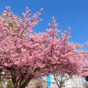 ヒメ日記 2025/03/21 20:24 投稿 真理（まり） 女々艶 大和店