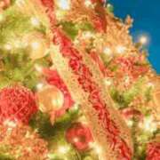 ヒメ日記 2025/01/06 18:15 投稿 りりこ シャトーペトラ