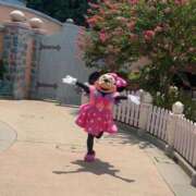 ヒメ日記 2025/08/18 00:52 投稿 りりこ シャトーペトラ