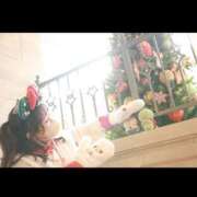 ヒメ日記 2025/12/04 10:45 投稿 りりこ シャトーペトラ